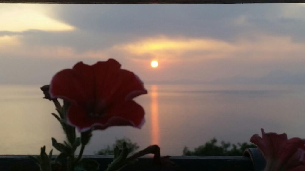 B&B "L'Eco Del Mare" Agropoli Bagian luar foto